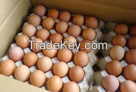 Chicken eggs