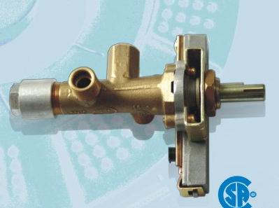 gas  valve