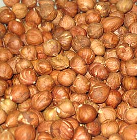 hazelnut kernel