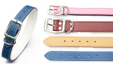 Leather pet collar