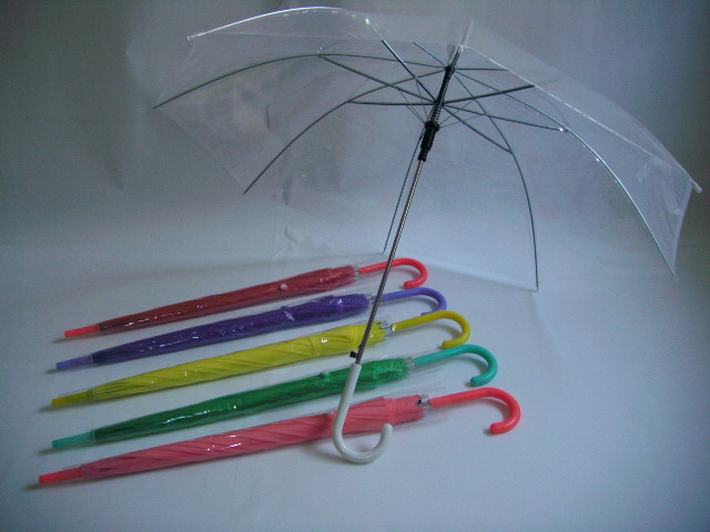 Transparent Umbrella