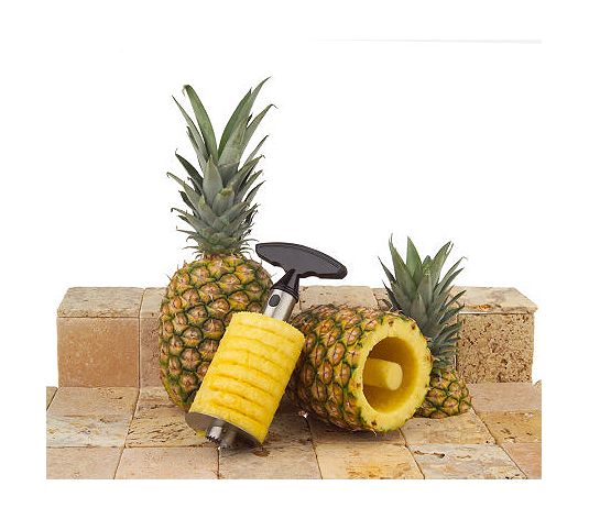 Stainless Steel Pineapple Slicer