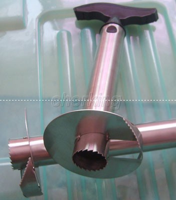 Stainless Steel Pineapple Slicer