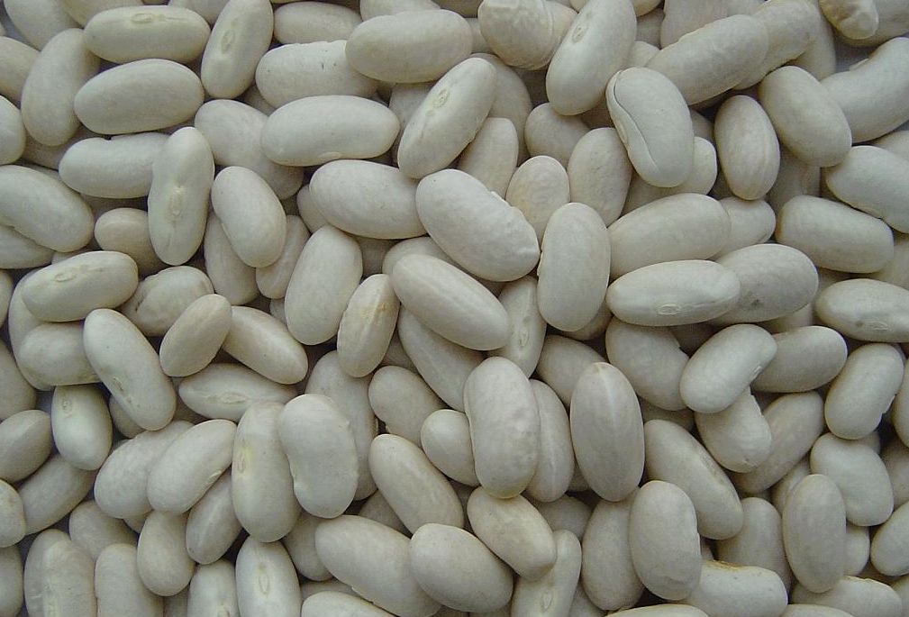 white kidney beans baishake