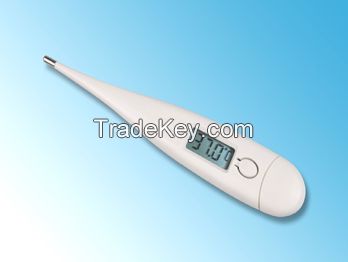 digital thermometer