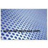 Stainless Steel Perforated Sheet