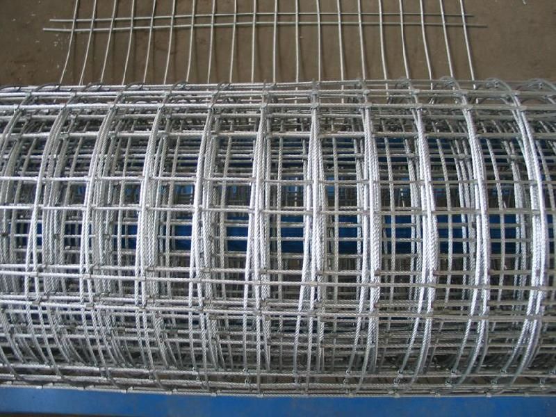 3/4 inches Galvanized welded wire mesh