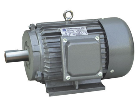 Y Series Three-phase Induction Motors