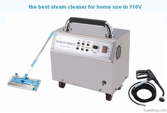 steam cleaner with 110v