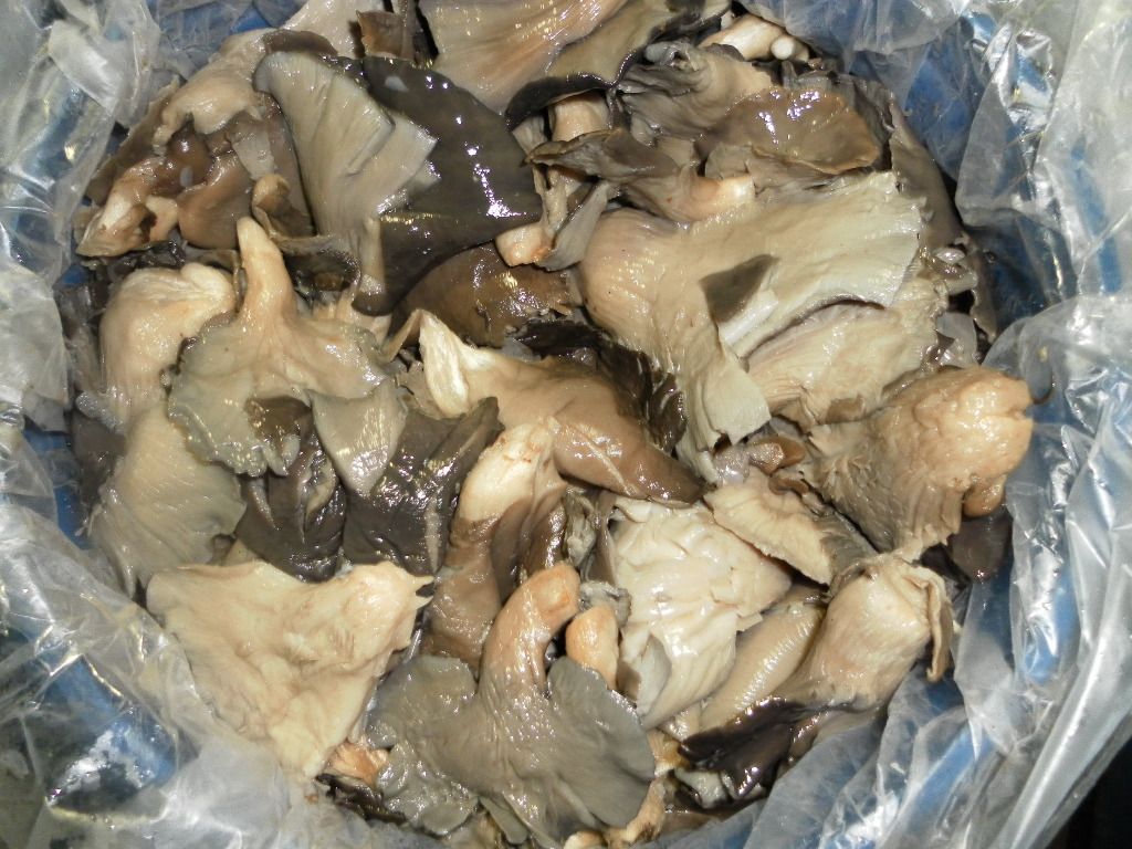 Pleurotus ostreatus quarters in brine