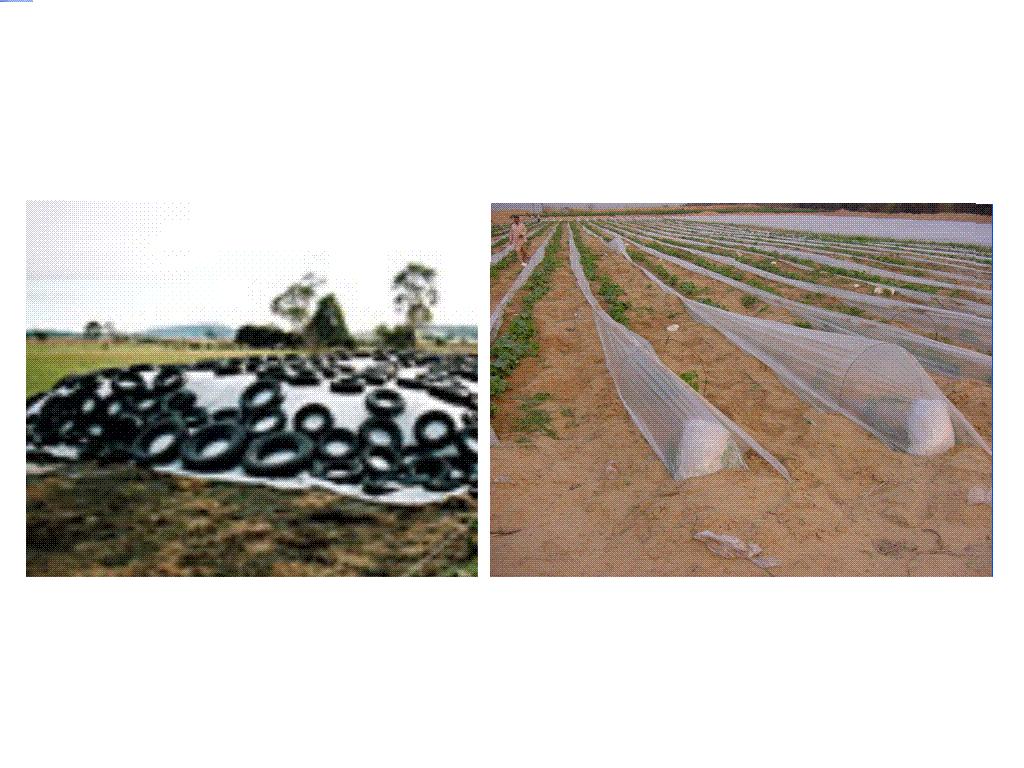 low tunnels film & silage film