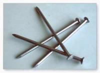 galvanized square boat nail