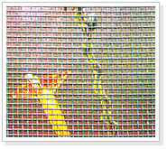 insect screen， window screening