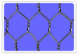 HEXGONAL WIRE MESH