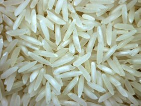 RICE SUPPLIER| PARBOILED RICE IMPORTERS| IMPORT BASMATI RICE|  BASMATI RICE EXPORTER| KERNAL RICE WHOLESALER| WHITE RICE MANUFACTURER| LONG GRAIN TRADER| BROKEN RICE BUYER| BUY KERNAL RICE| WHOLESALE WHITE RICE| LOW PRICE LONG GRAIN