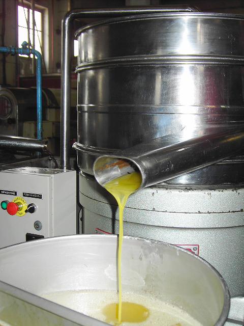 Virgin Olive Oil