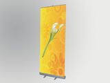 Banner stand(roll banner, roll banner)