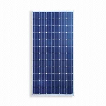 175W Polycrystalline Solar Module