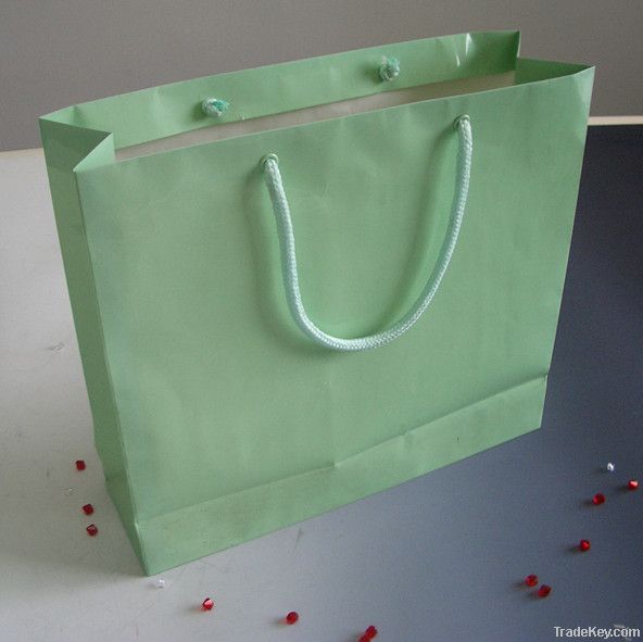 Paper shopping packing bags