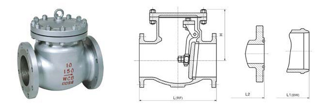 Swing check valve