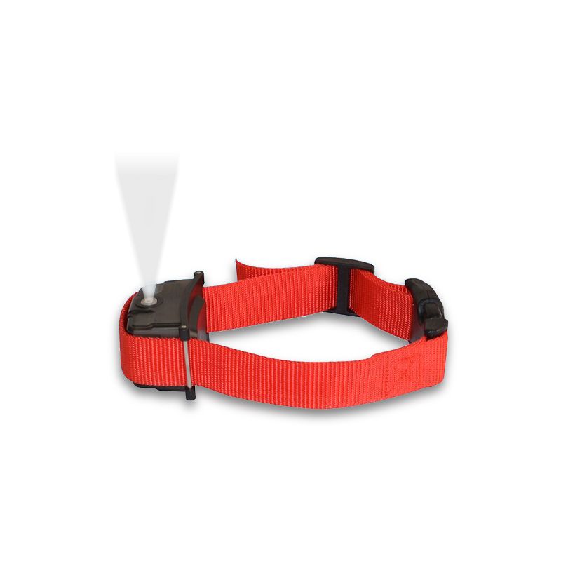 Digital pet/dog training collar