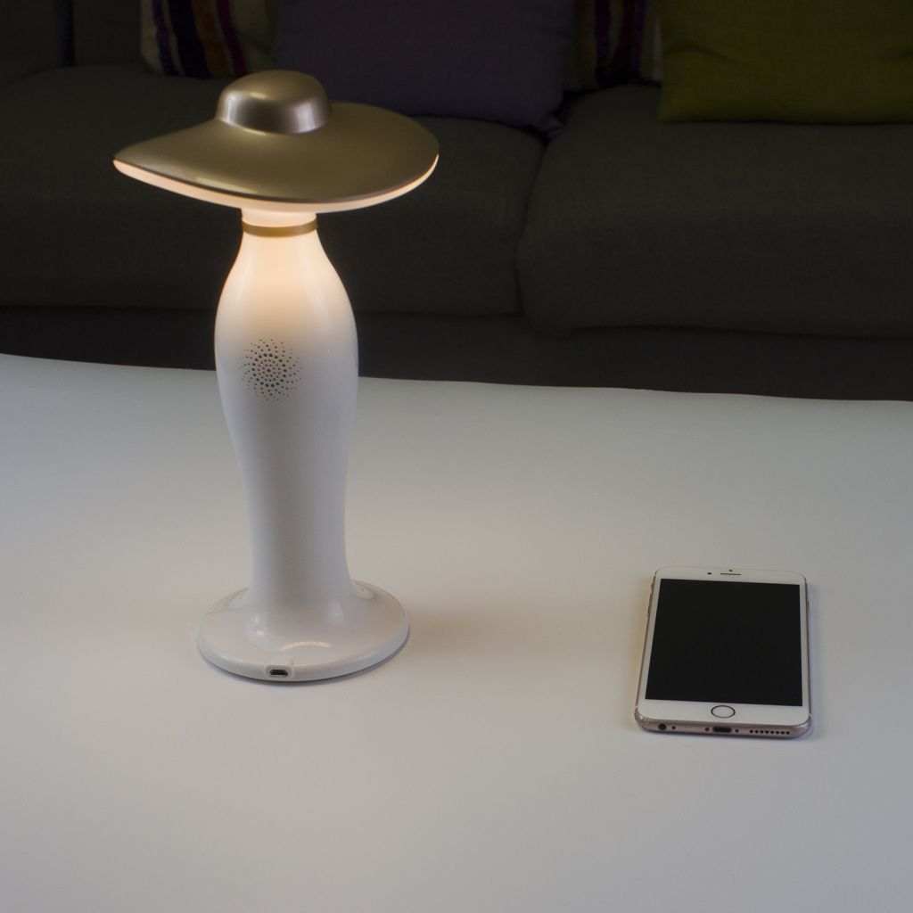 smart voice control light