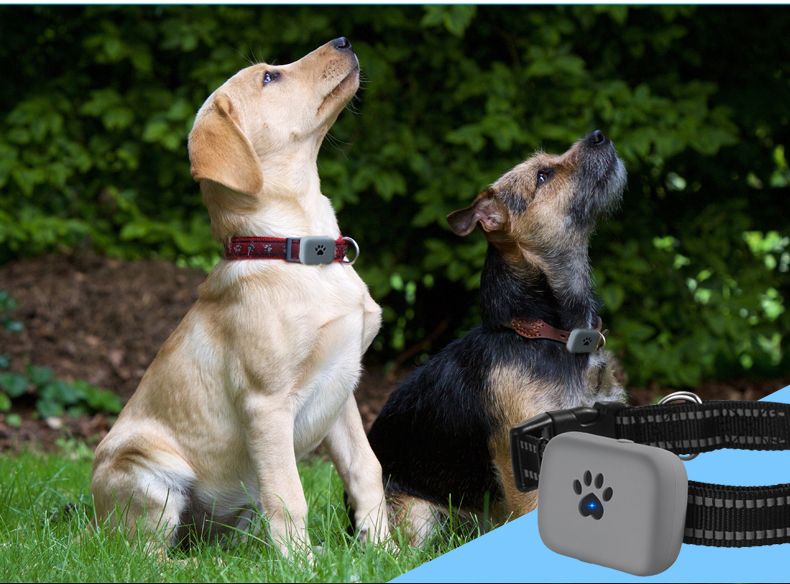 Pet dog cat GPS tracker collar