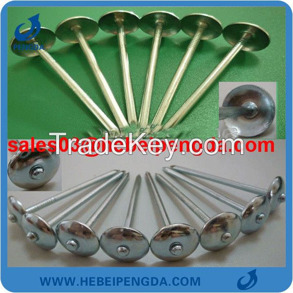 kenya market low factory price 2.5" umbrella head roofing nail