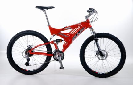 moutain bike (DAEMON)