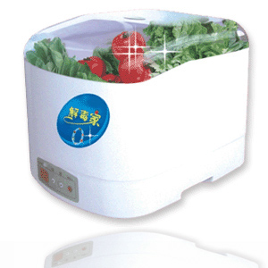 Fruit and Vegetable  Sterilizer