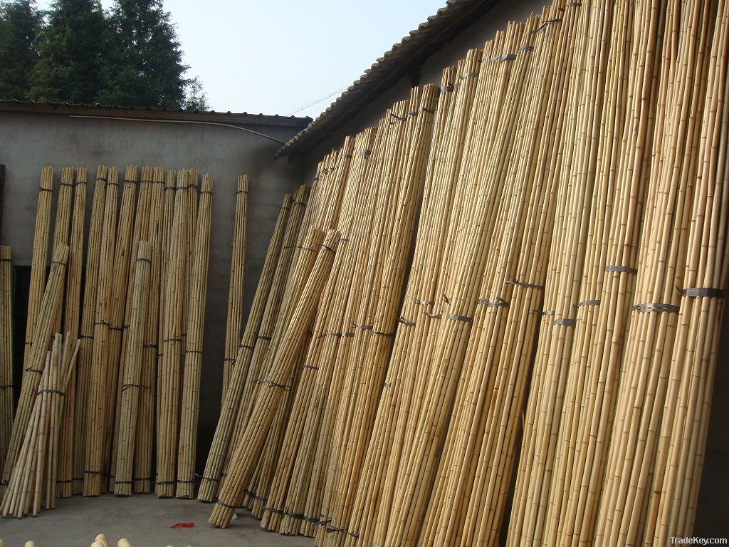 Bamboo poles