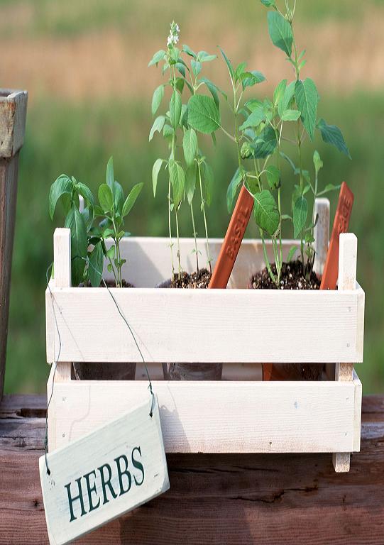 wooden flower pots