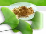 Ginkgo Biloba *****