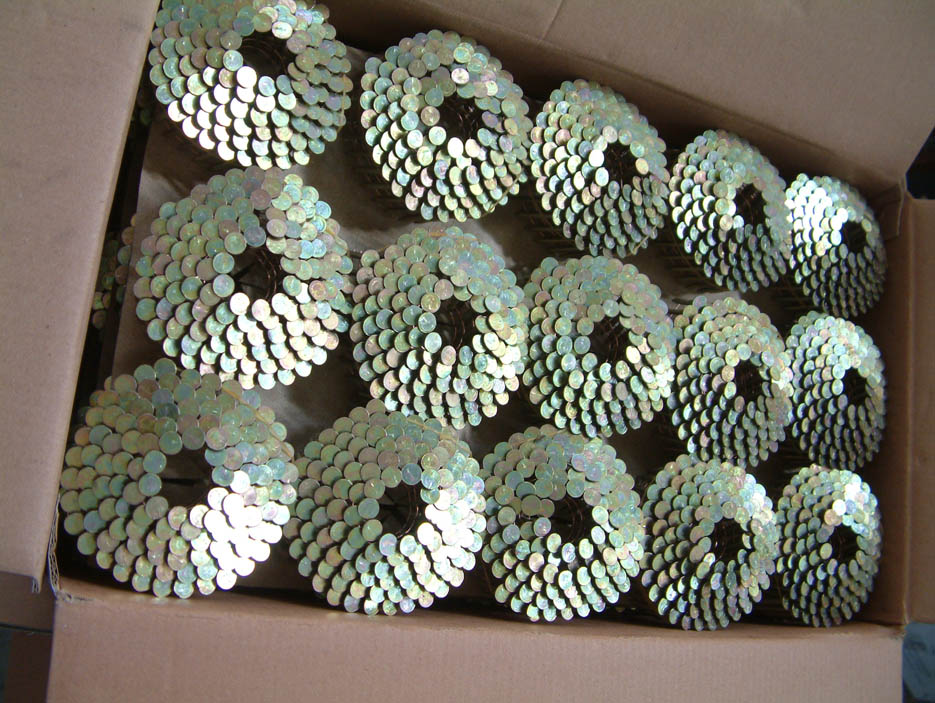 Coil Roofing Nails or Wire Collated Nails