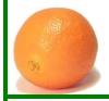 Orange Mandarin