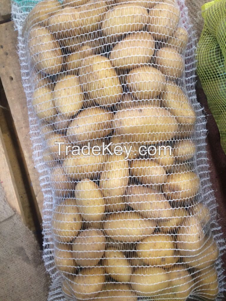 FRESH POTATO SUPPLIERS (M/S. KHALID EXPORTS INTERNATIONAL, PAKISTAN)