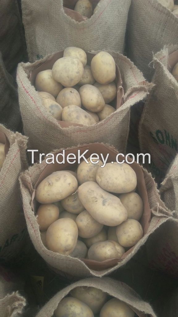 FRESH POTATO SUPPLIERS (M/S. KHALID EXPORTS INTERNATIONAL, PAKISTAN)