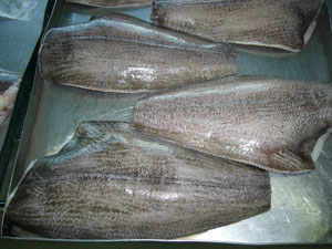 frozen arrowtooth  fillets