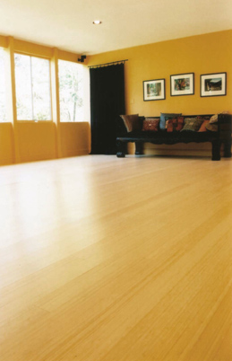 Bamboo Flooring