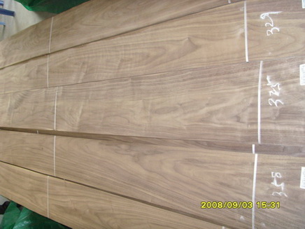 America walnut veneer