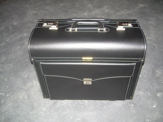 Pilot Case