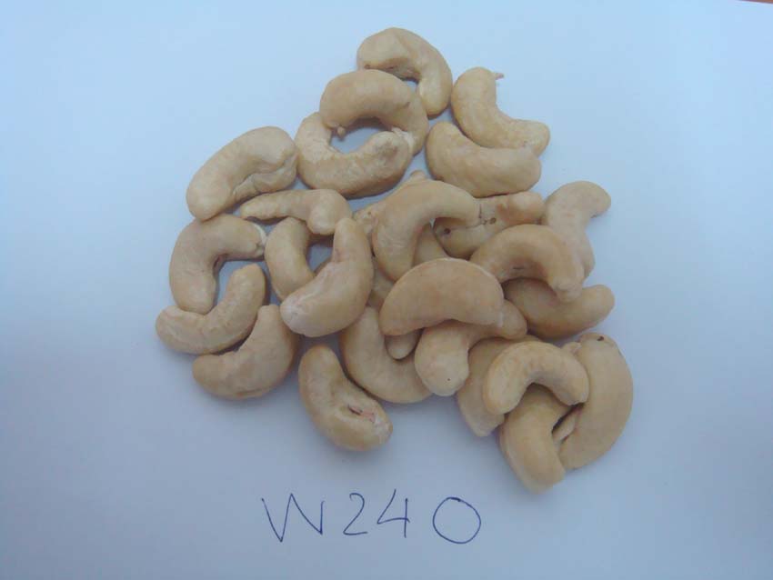 Raw Cashew Nuts &amp; Roasted Cashew Nuts | Dried Fruits | W240 Cashew Nuts Suppliers | W320 Cashew Nut Exporters |Buy  WW230 Cashew Nut