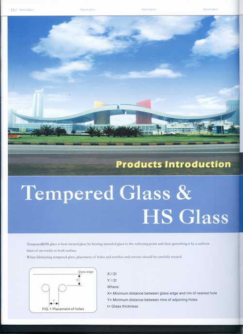 Tempered Glass