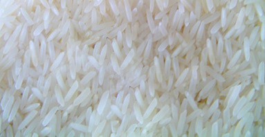 Samaa Rice