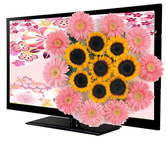 Professional Manufacturer of  47 inch Android Intelligent Network Television 