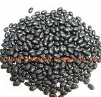 Black Kidney Beans