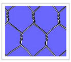 Hexagonal wire mesh