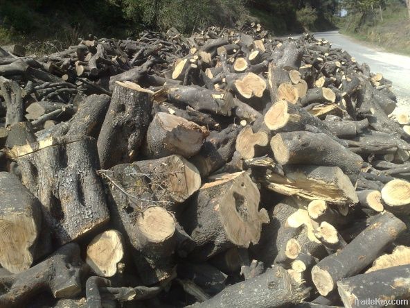 firewood