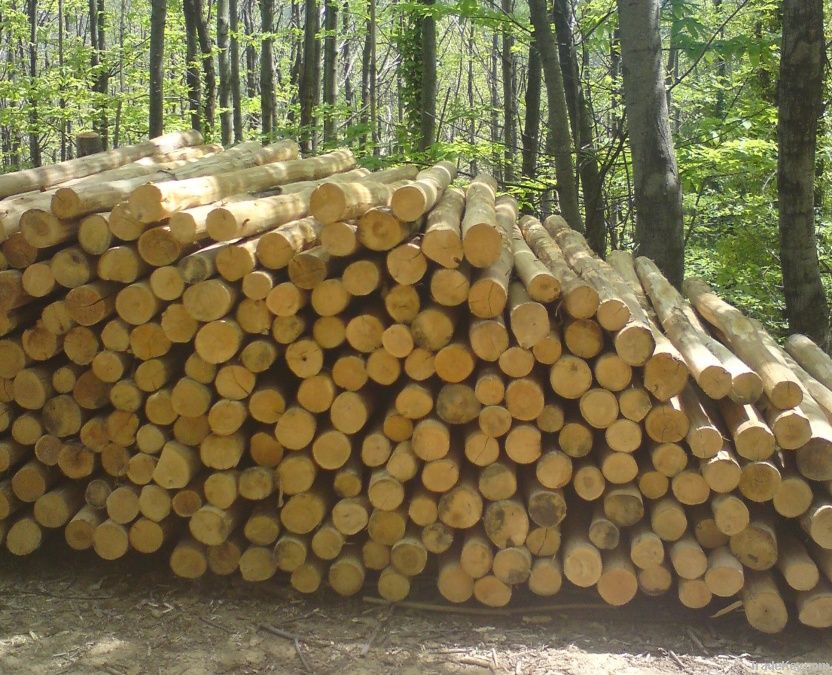 firewood