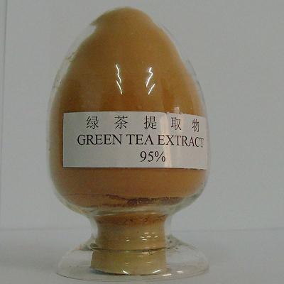 Green tea extract(tea polyphenols 95%)